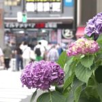 九州から東北まで梅雨入りが大幅に遅れる見込み、気象情報に注意