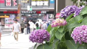 九州から東北まで梅雨入りが大幅に遅れる見込み、気象情報に注意