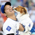 大反響を集めるデコピンの塩対応、“天使すぎる”と話題に