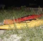 琵琶湖で大学生約50人がカヤック遭難！20人が自力で脱出